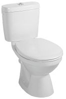 Floor-standing WC washdown