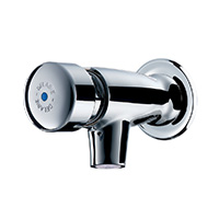 Wall-mounted time flow basin tap