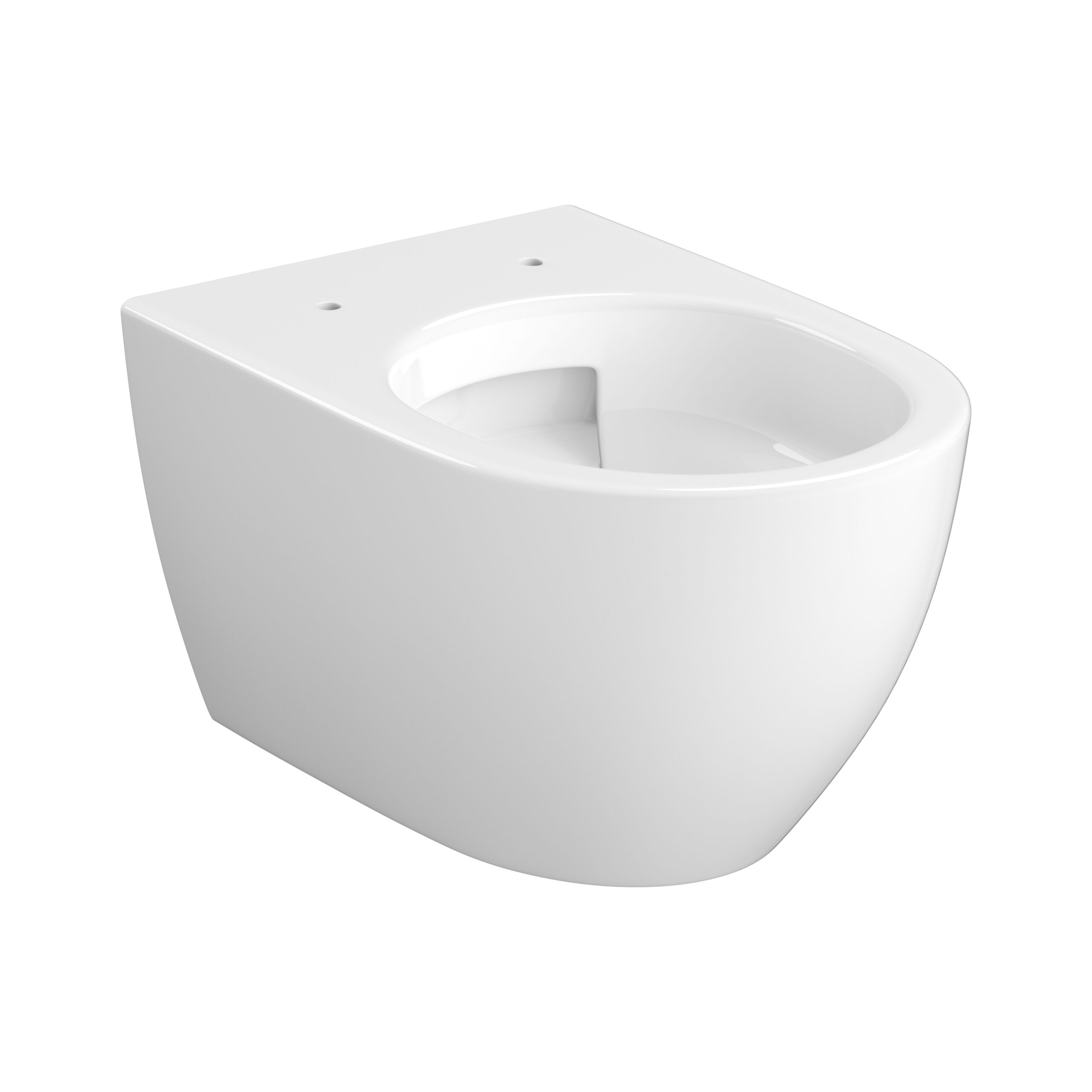 Vortex Wall Hung Bowl with toilet seat