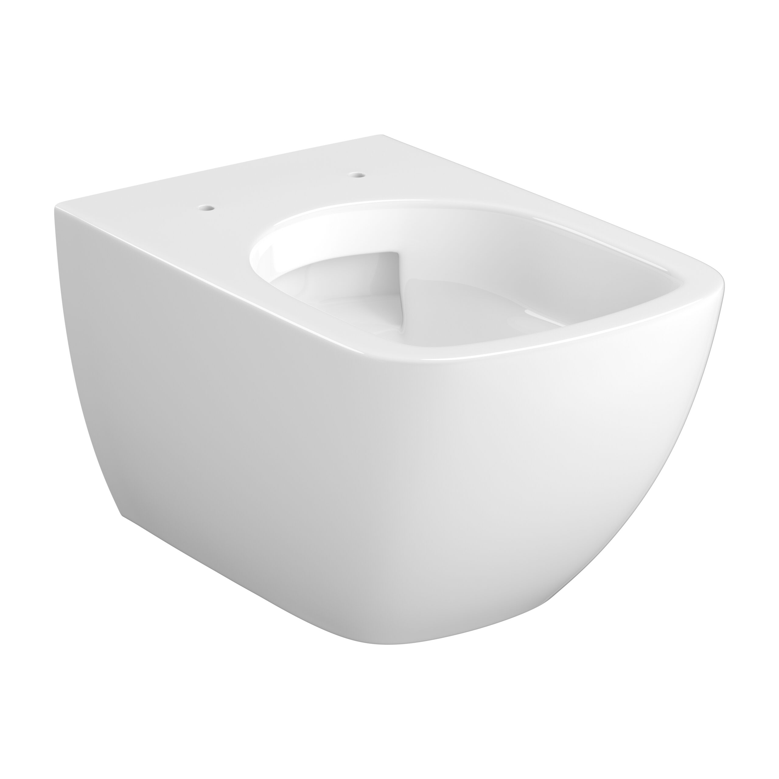 Vortex Wall Hung Bowl with toilet seat