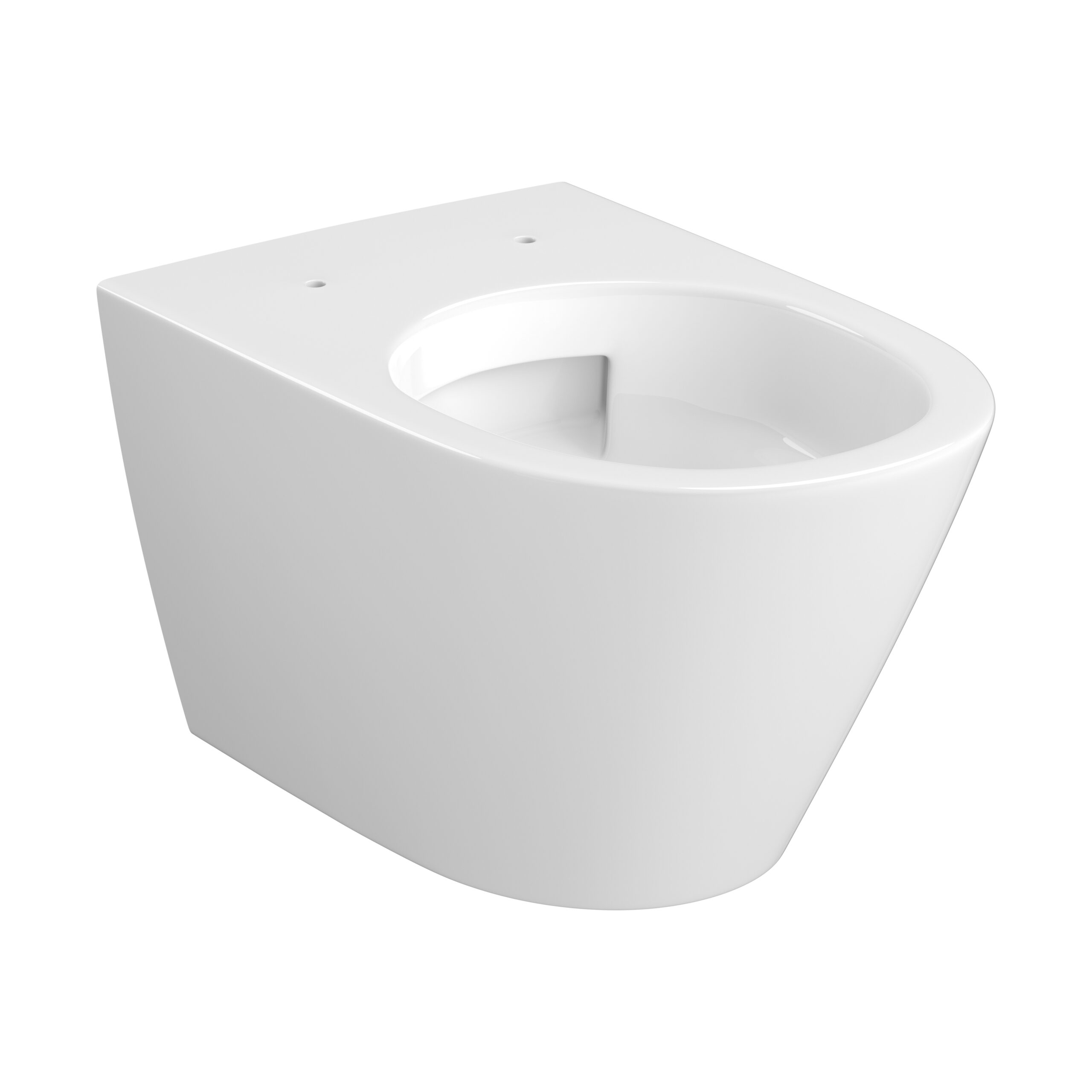 Vortex Wall Hung Bowl with toilet seat