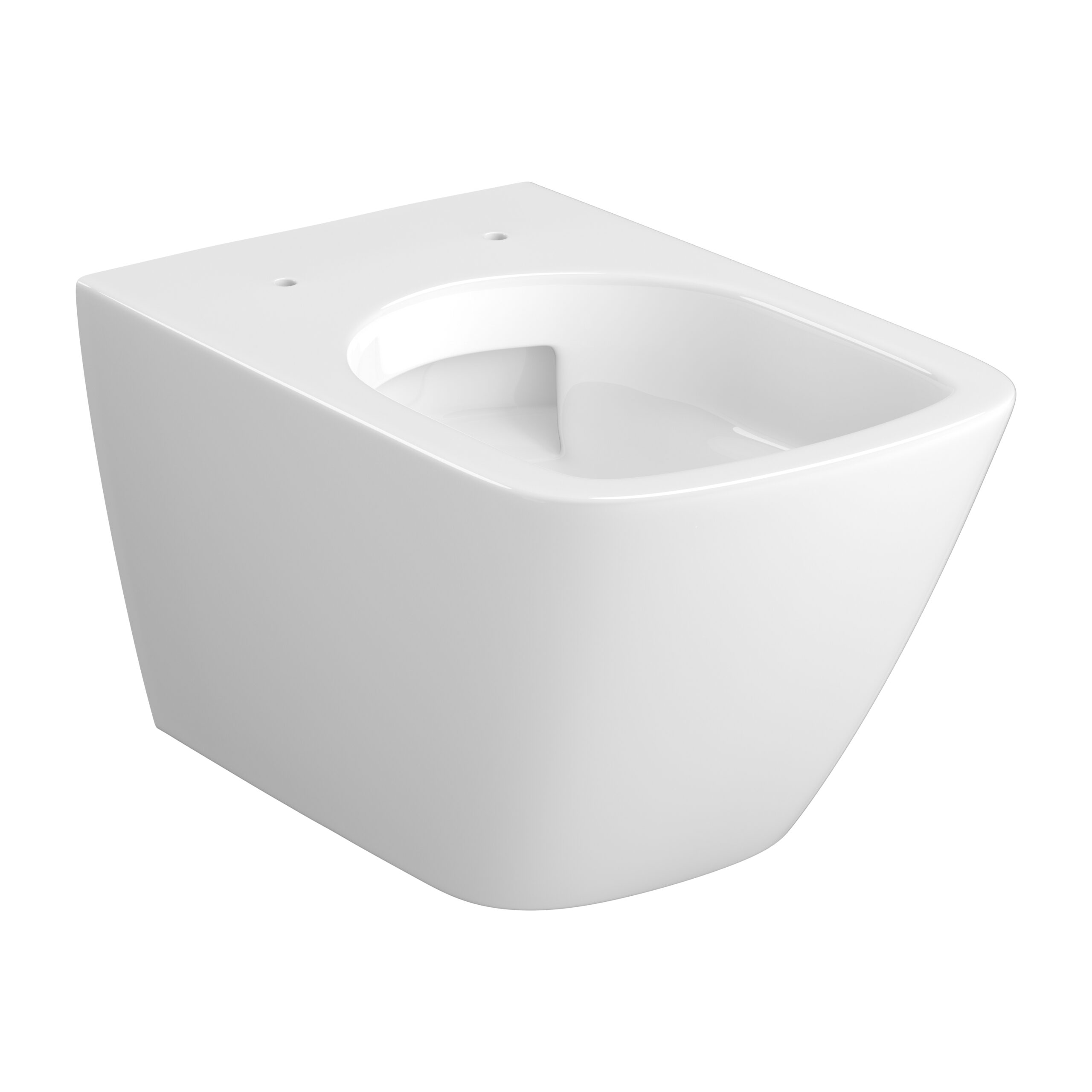 Vortex Wall Hung Bowl with toilet seat