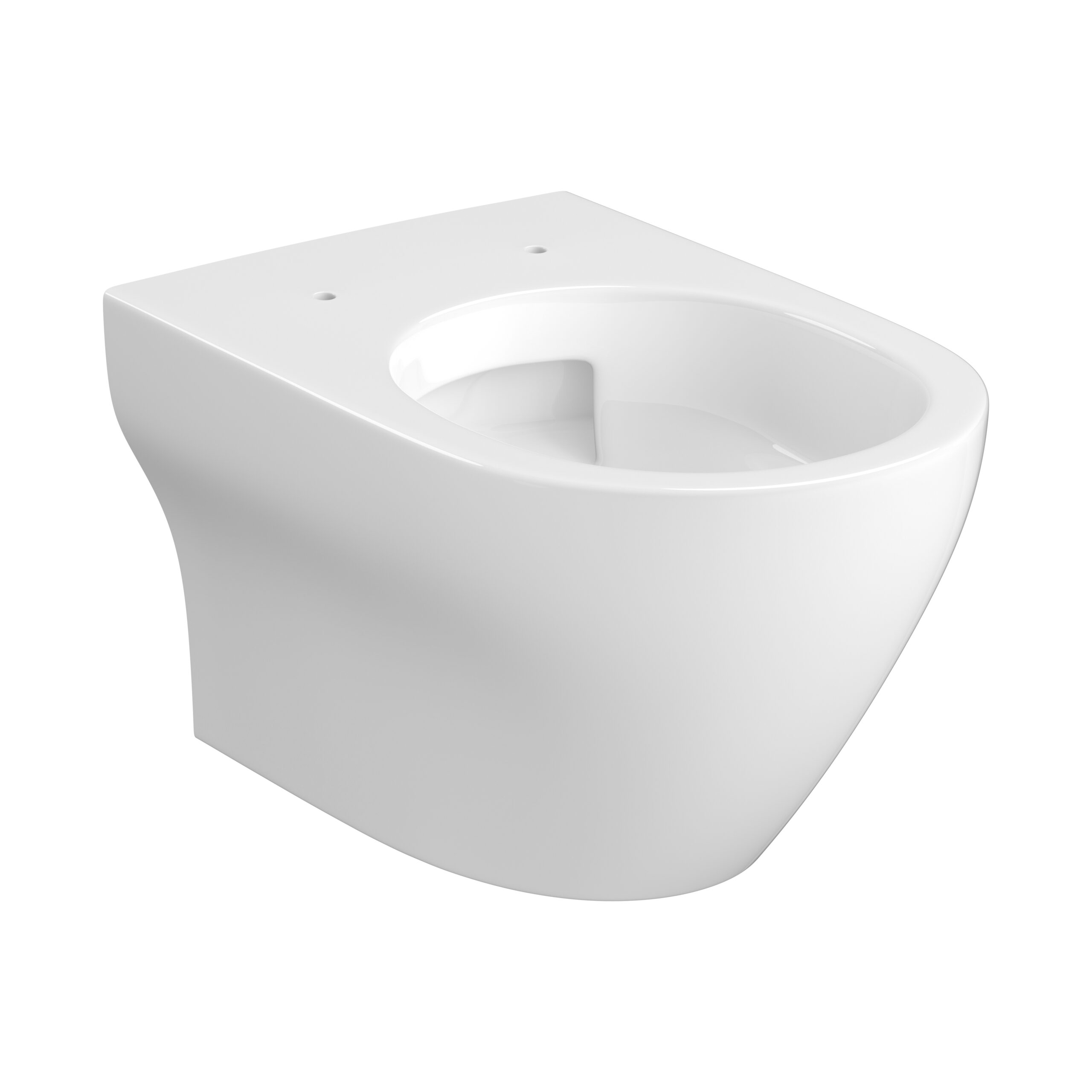 Vortex Wall Hung Bowl with toilet seat