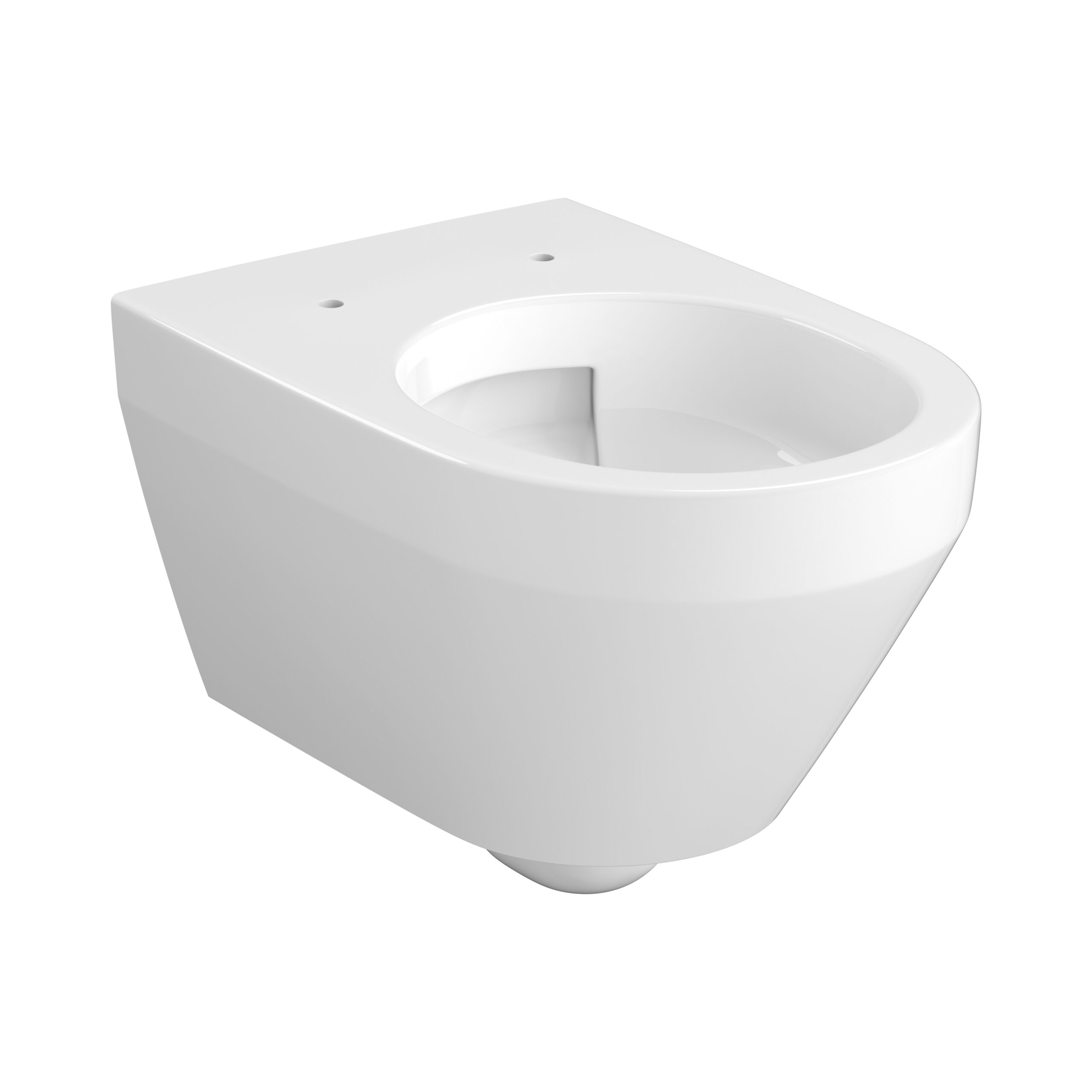 Vortex Wall Hung Bowl with toilet seat