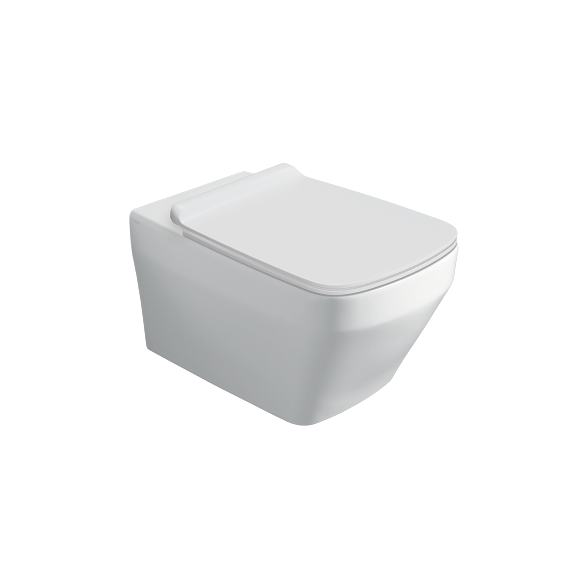 Water Closet Pan (Rimless) 4.5L Vitreous China Wall Hung Wall Matched with In Wall 4,5/3L Dual Flush Cistern