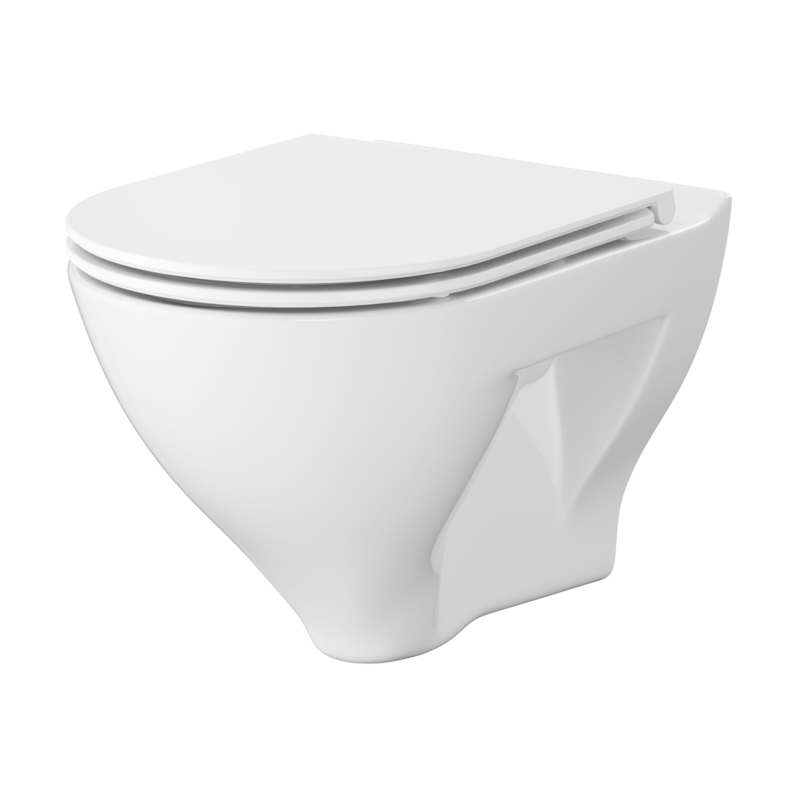 Vortex Wall hung bowl with toilet seat