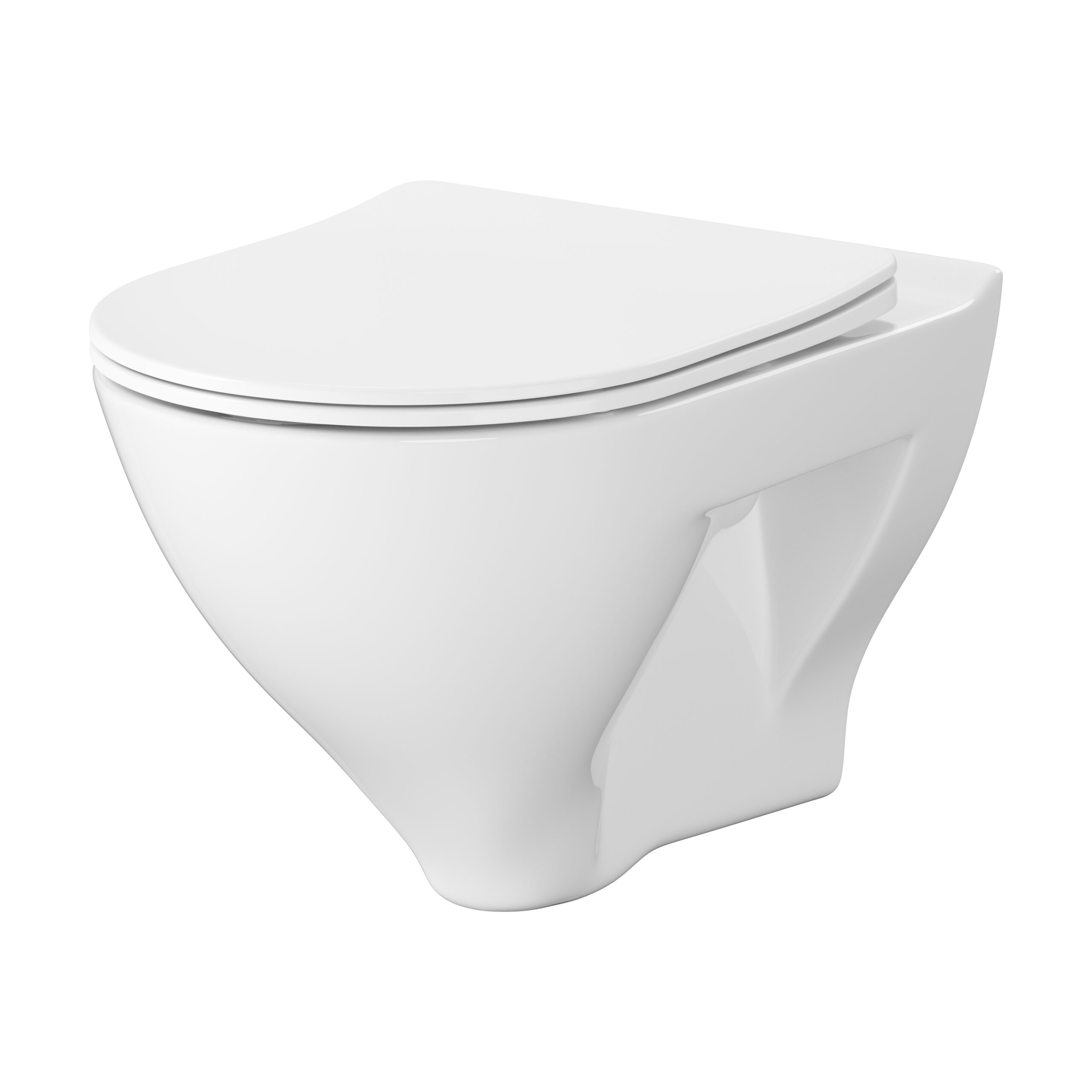 Vortex Wall hung bowl with toilet seat