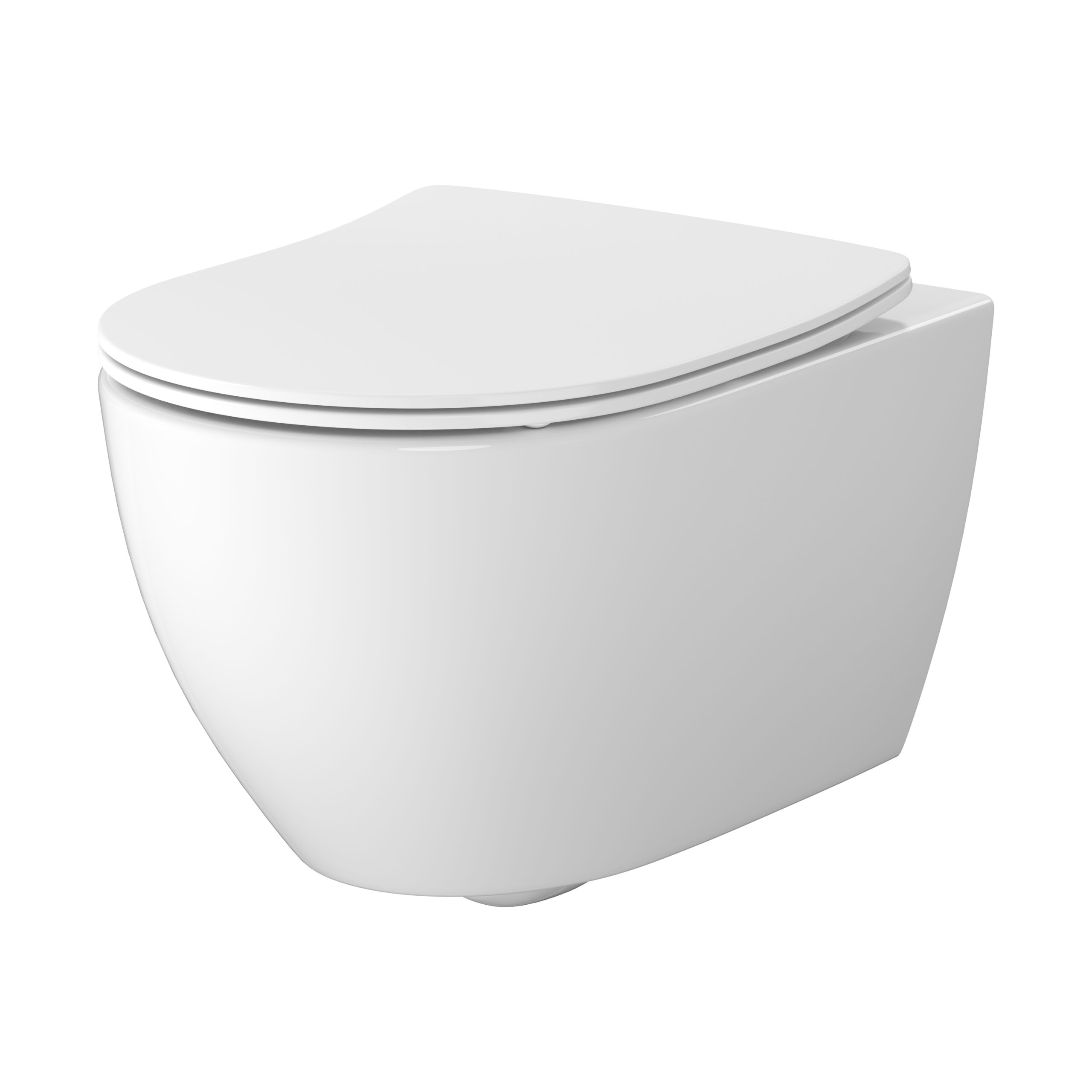 Vortex Wall hung bowl with toilet seat