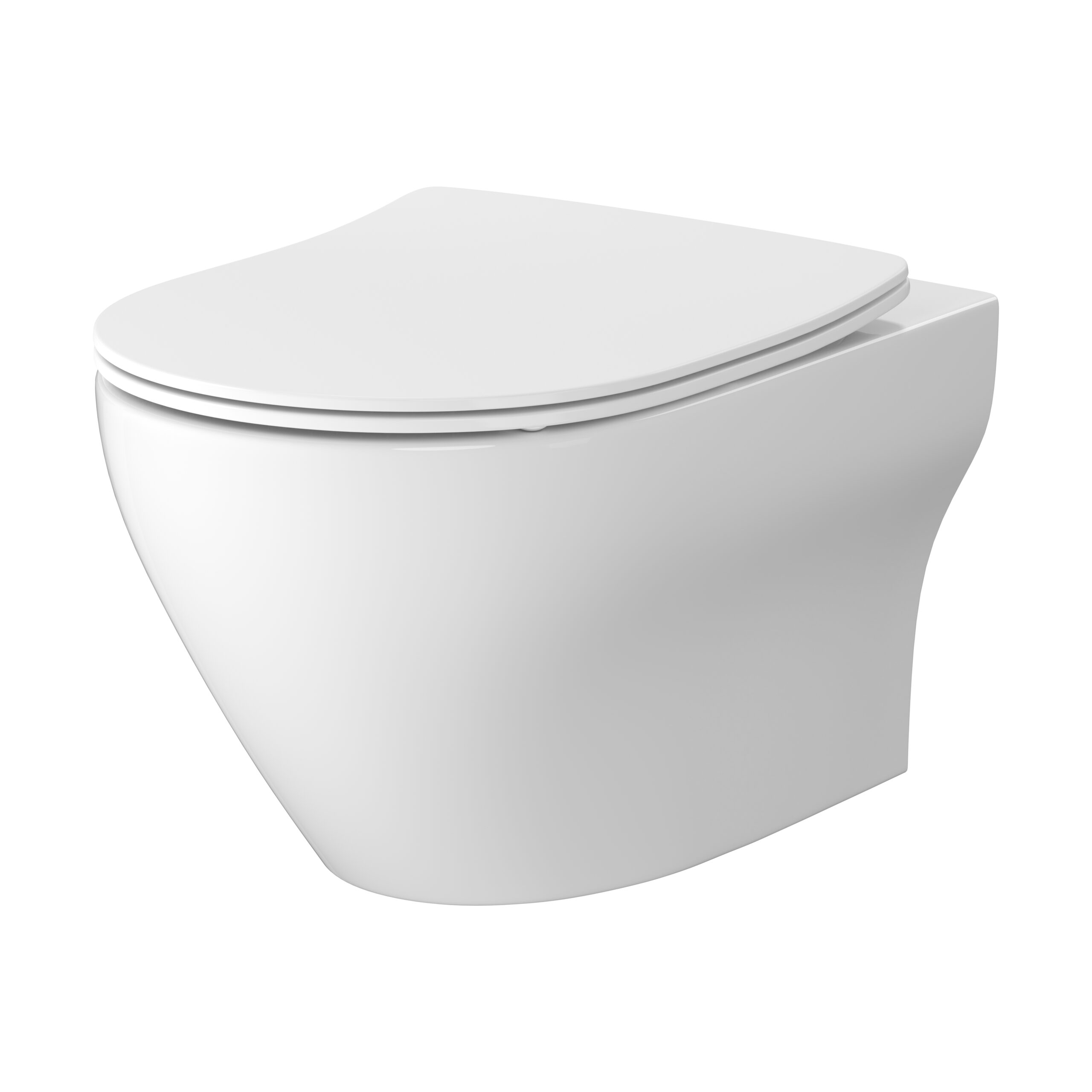 Vortex Wall hung bowl with toilet seat